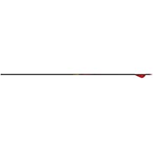 Gold Tip Hunter 400 Arrows with 2-Inch Raptor Vanes (1-Dozen)