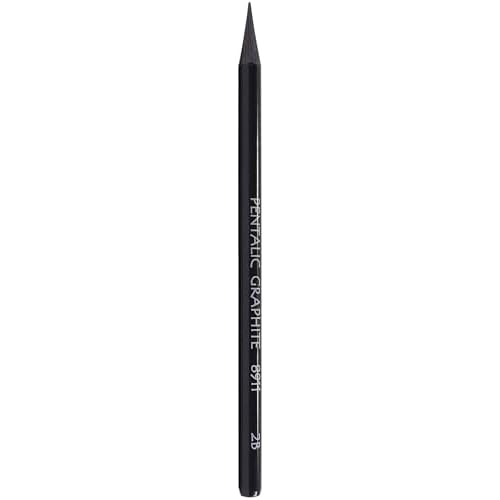 Pentalic Woodless Graphite Pencils, 2B, Set of 12