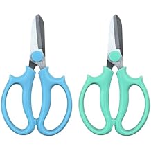 2 Pcs Premium Stainless Steel Flower Shears,DIY Floral Cutting Scissor for Garden Flower Arrangement,Floral Stems,Pruning Leaf