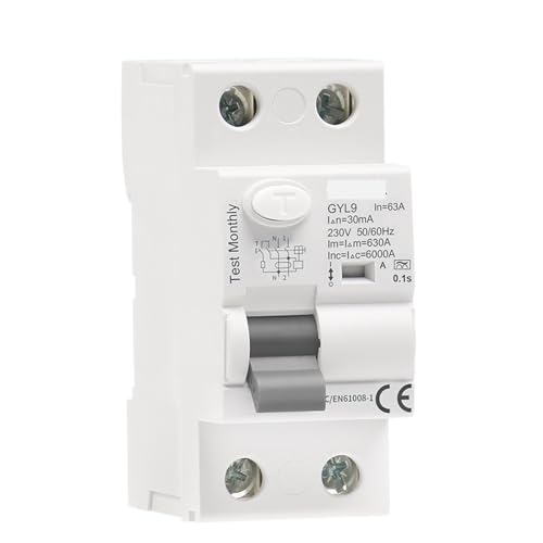 Type A RCD Electromagnetic Residual Current Circuit Breaker AC ELCB 2 Pole 40A 63A 30mA 100mA 300mA RCCB 1Pcs2P 63A,100mA