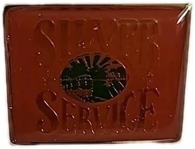 Amtrak Vintage 1990s Collector Lapel Pin Silver Service Route Enamel Metal Railroad Memorabilia 7/8" x 3/4"