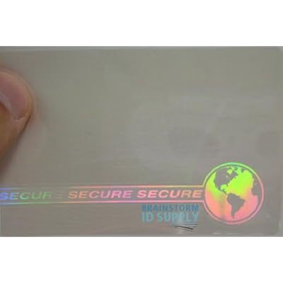Web & Earth Hologram Overlay - Credit Card Size TeslinPVC ID Card Hologram Overlays - 10 Pack