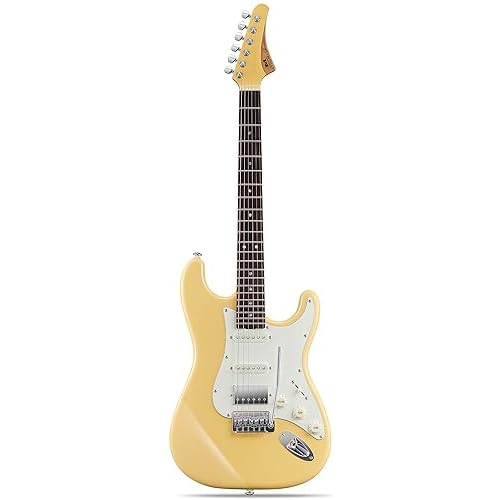 Capricorn Classic Electric Guitar, Rosewood Fretboard Solid Body Electric Guitar, Alder Body, Roasted Maple Slim C Neck, Stainless Steel Frets, Locking Tuners, HSS Pickups