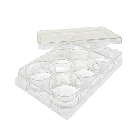 SPL Culture Plate 6 Wells, Treated, Flat Bottom, Sterile, 50/Case