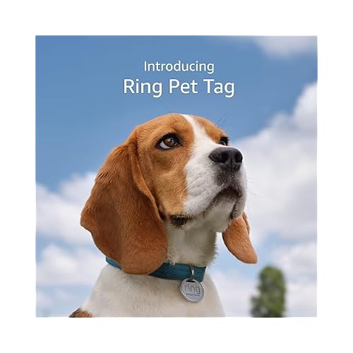 Ring Pet Tag | Easy-to-use tag with QR code | Real-time scan alerts | Shareable Pet Profile | No subscription or fees