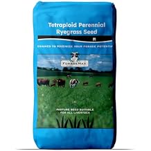 Outsidepride Perennial Ryegrass Seeds - 5 lb. Hardy & Fast-Growing, Cover Crop Seeds for Planting Glossy Dark Green Grass Leaves, Ideal for Hay Foraging, Pasture Grazing & Erosion Control