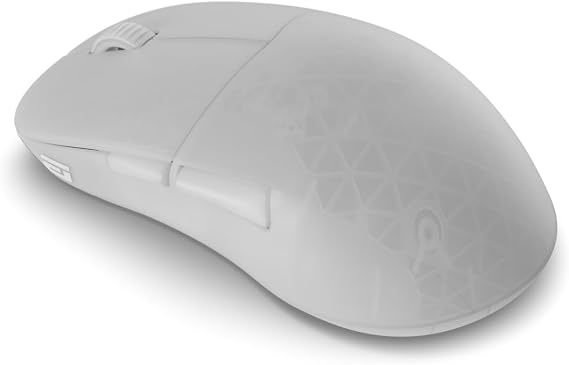 ENDGAME GEAR XM2w 4k v2 Wireless Gaming Mouse White Frost 30K DPI Optical Sensor, 4000Hz Polling, Claw-Grip Design for Medium to Large Hands, Lightweight (63g)