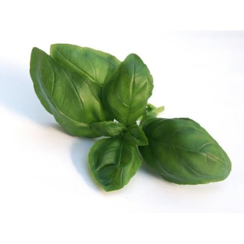 Fresh Basil, Delicate and Sweet Flavor - 3 Count of 1 lb Bags, Premium Quality, Sustainably Sourced