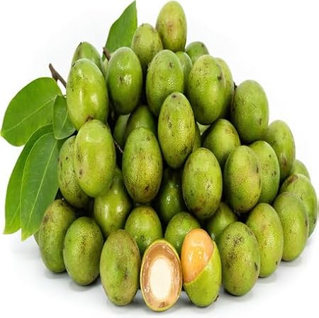 50pcs Green Mamoncillo Fruit Seeds