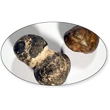 CafePress Manganese Nodules Sticker (Oval 50 pk)