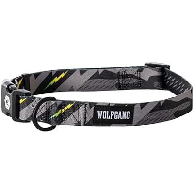Wolfgang Heavy Duty, Adjustable Dog Collar with Quick Release Nylon Buckle for Walking & Training, DarkSkies Print, Large
