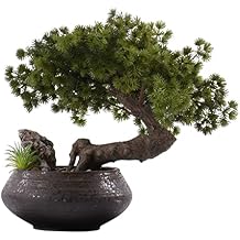Artifical Tree Artificial Welcome Fir Tree Simulation Fake Tree Plant Bonsai Black Retro Ceramic Flower Pot for Living Room and Office Decoration Artificial Tree Indoor