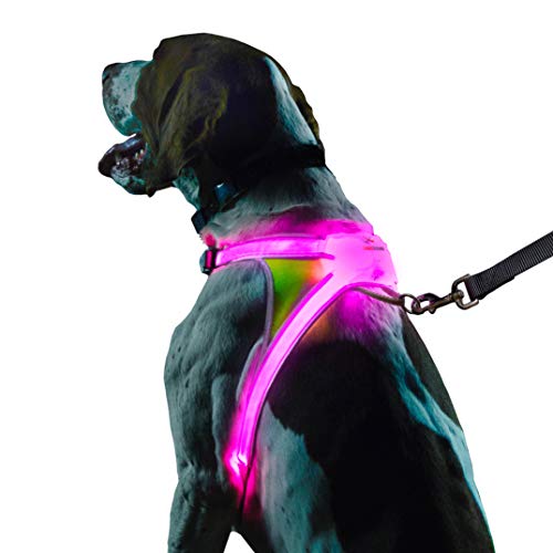 Noxgear LightHound - Revolutionary Illuminated and Reflective Vest for Dogs Including Multicolored LED Fiber Optics USB Rechargeable, Adjustable, Lightweight, Rainproof Medium