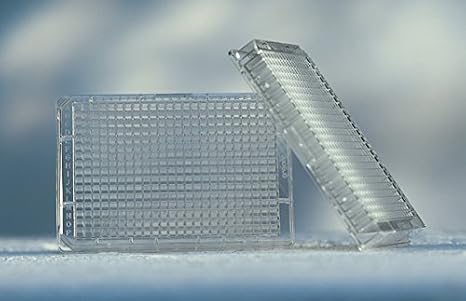 781061 Clear Polystyrene 384W MICROLON 600 Microplate, High Binding, Flat Bottom (Pack of 40)
