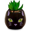 Toynk Disney Lilo & Stitch Full Body 5-Inch Ceramic Planter with Artificial Succulent