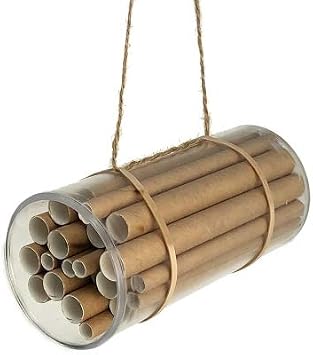 Mason Bee House Activity Kit (100 Projects)