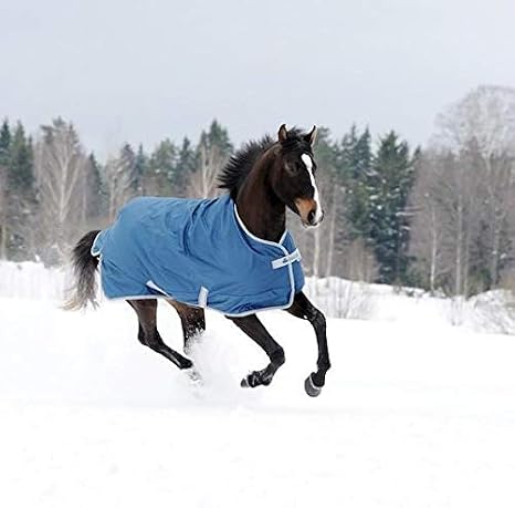 Bucas Freedom Medium Turnout Blanket