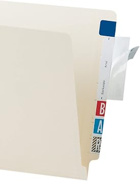 Tabbies 58385 - PROTECTOR, TOP TAB FOLDER, 3 1/2 X 2, CLEAR