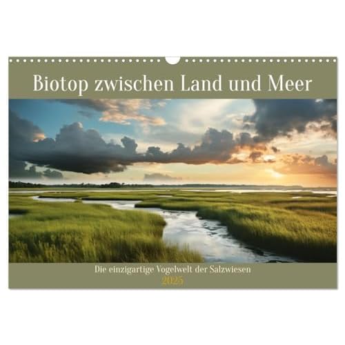 Biotop zwischen Land und Meer Wandkalender 2025 DIN A3 quer, CALVENDO Monatskalender [Calendar] Daniela Tapper