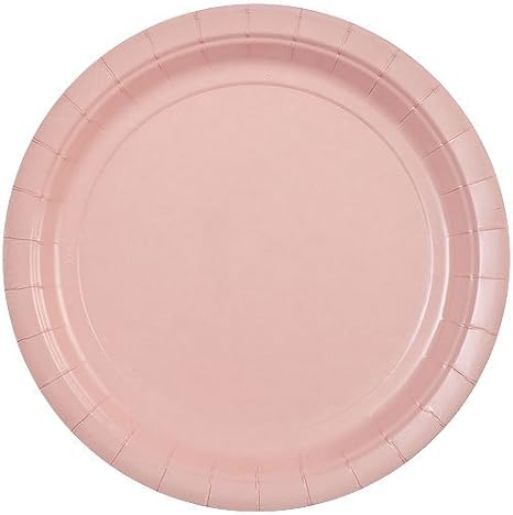 Party Dimensions Disposable Party Paper Plates - 9" | Pink | Pack of 20 (72692)