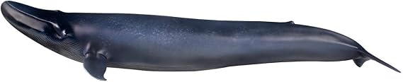 PNSO Scientific Art Sculptures By Zhao Chuang & YANG Yang Gallery Series Alex the Blue Whale 1:35 Sculpture