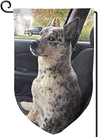 YISONG Garden Flag 12.5" x 18" Australian Cattle Dog Decorative Flags for Home Outdoor Decor, Double-Sided Garden Flag - Fillet, Corner, Square