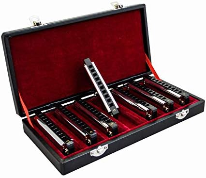 SWAN 10-hole Blues Harmonica Full-scale Ten-hole Harmonica A B C D E F G 7-tone Set Harmonicas Hardcover Gift Box