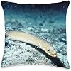 American Eel Throw Pillow