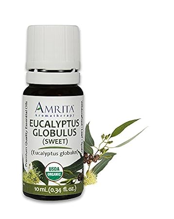 Amrita Aromatherapy Organic Eucalyptus Globulus Sweet Essential Oil, 100% Pure Undiluted Eucalyptus globulus, Therapeutic Grade, Premium Quality Aromatherapy oil, Tested & Verified, 10ML