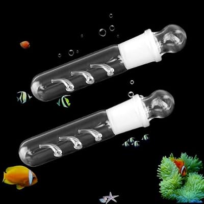 2 Pack Clear Glass Planaria Trap Catch Trap Aquarium Cleaning Supply for Dwarf Shrimp Cherry Shrimp 3 Holes