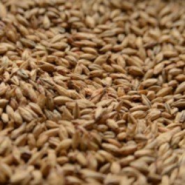 Briess Bonlander Munich Uncrushed Malt - 1 lb. Bag