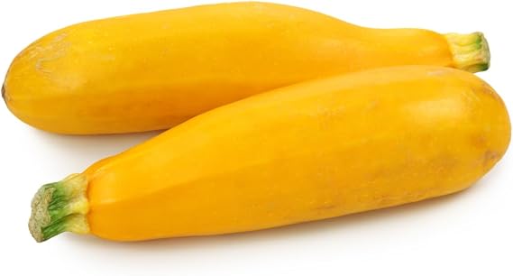 Early Prolific Straightneck Squash Seeds Non-GMO, Heirloom, Fast-Growing, High-Yielding, Perfect for Home Gardens (Packet)