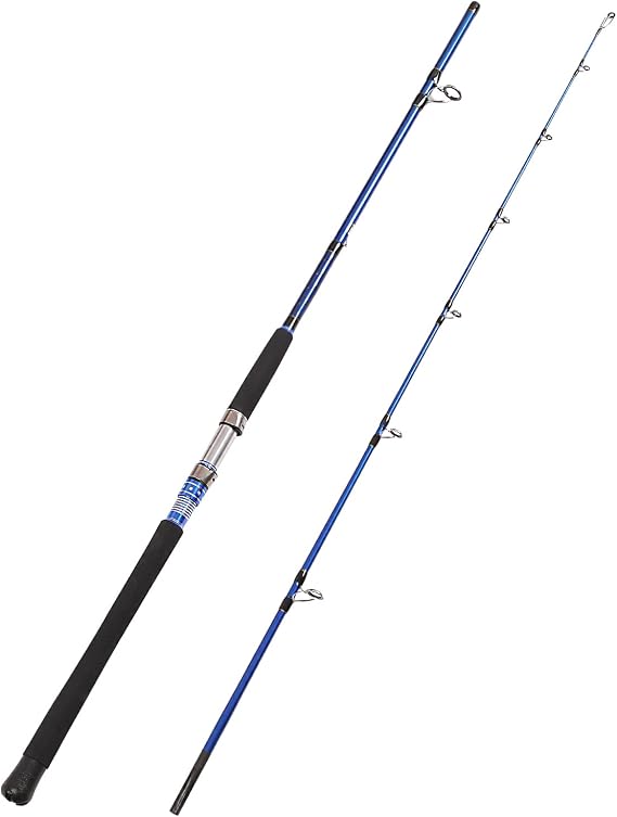Fiblink 2-Piece Saltwater Spinning Fishing Rod Offshore Graphite Portable Fishing Rod (7 Feet)