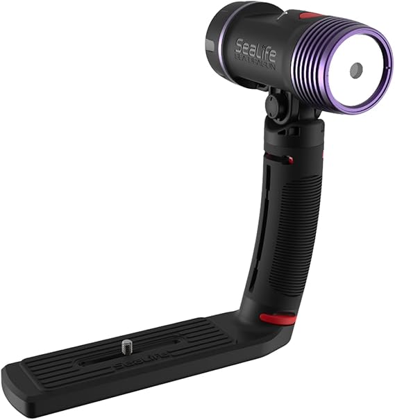Sea Dragon Fluoro-Dual Beam