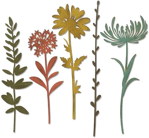 Sizzix Thinlits Die Set , Wildflower Stems #1 by Tim Holtz, 5 Pack, One Size, Multicolor 5 Piece