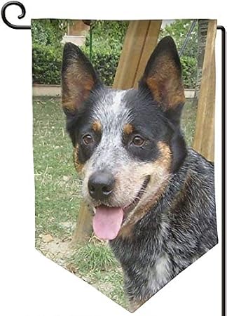 YISONG Garden Flag 12.5" x 18" Australian Cattle Dog Decorative Flags for Party Yard, Double-Sided Garden Flag - Fillet, Corner, Square