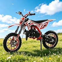 50cc 2-Stroke Kids Dirt Bike, Mini Dirt Bike for Kids, Pocket Gas Motorbike, Off Road Gas Power Mini Pocket Motorcycle with Front Rear Disc Brakes, Racing Max Speed 40km/H (Red) Red
