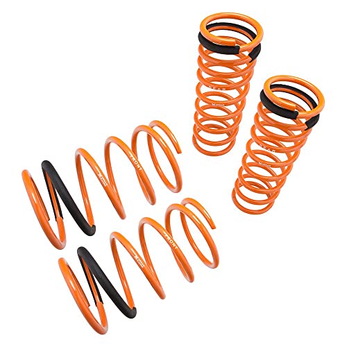 Megan Racing MR-LS-M3GT Coilover Lowering Spring