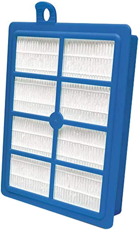 Hannets High Quality HEPA13 Filter Compatible with Various AEG, Philips, Autoclean, SilentStar, Specialist, Studio, TwinClean Models - AEF13W, AEF 13W, H13