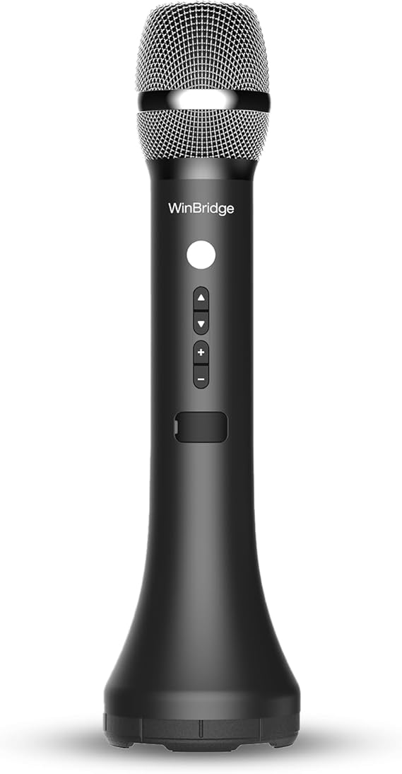 Bluetooth Microphone Wireless Voice Amplifier With 3 Sound Effects H9