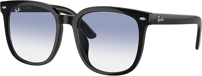 Ray-Ban Unisex Rb4401d Square Sunglasses
