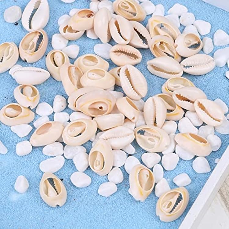 FC-83633 50GBag Cowrie Cowry Seashells Oval Spiral Shells with Holes for Jewelry Making Mini Shells with Holes for Threading -  Type: