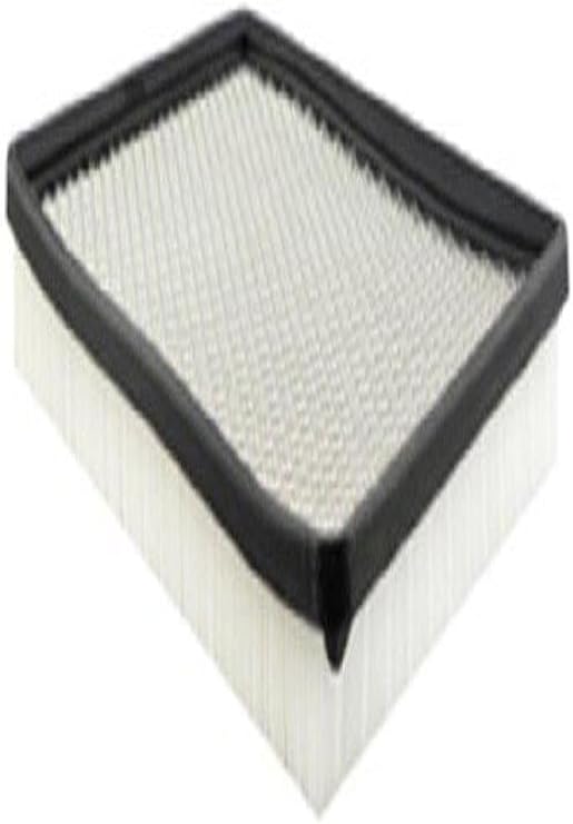 Hastings AF1125 Panel Air Filter Element