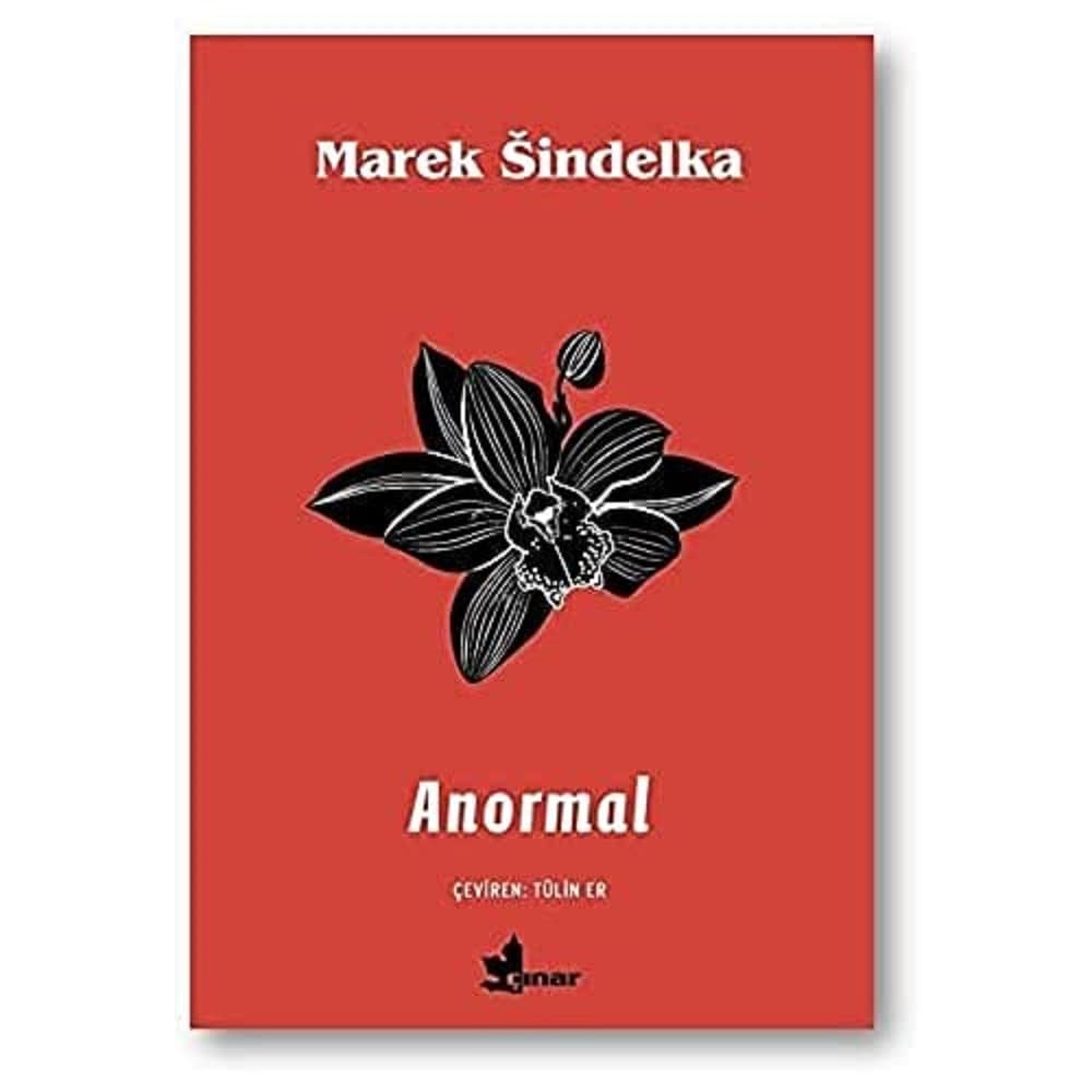 Abnormal Paper Cover – June 19, 2020
