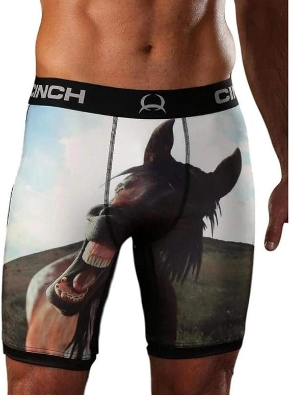 Cinch Men's 9 Inch Horse Boxer Brief Multi XL