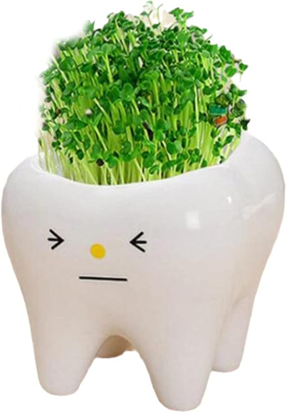 YUANstore 1Pc Tooth Shape Pot Bonsai Ceramic Flower Pot DIY Small Balcony Decorations Succulent Plants White Succulents Pots