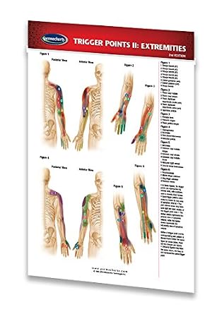 Permacharts Trigger Points II: Extremities Pocket Chart - Reflexology Quick Reference Guide