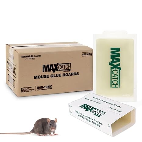 Catchmaster 72MB Glueboards QTY 12 Glueboards 602534 by Catchmaster