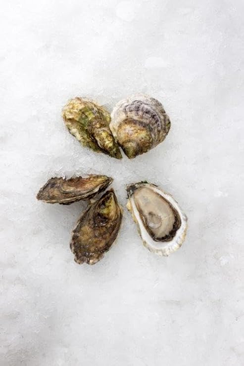 Standish Shore Massachusetts Farmed Oysters, In Shell, 100 Count Fresh, Well-Balanced Flavor, Sharp Brine, Sweet Buttery Texture, Crisp Mineral Finish