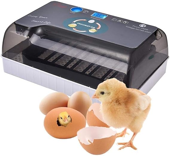 Automatic Hatching Egg, Incubator, Incubator, For Chickens and Other Livestocks, For Birds, Automatic Rolling Egg Type, Hatcher, Large Capacity, Automatic Temperature Control, Humidity Retention,